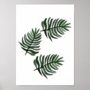 Recherche de feuille tropical posters Feuille de palme
