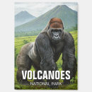 Recherche de gorille de montagne magnets Afrique