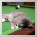 Recherche de boule posters Boule de piscine