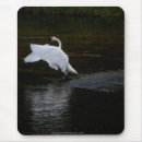 Recherche de trompettes tapis souris Cygne