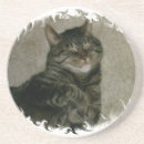 Recherche de chat minou de dessous de verres Mignon