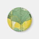 Recherche de feuille ginkgo magnets Biloba