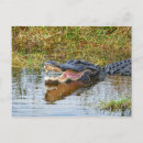 Recherche de bouche ouverte cartes postales Dents