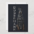 Recherche de dobx invitations Dobermann