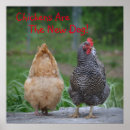 Recherche de de poulet posters Poulets