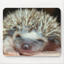 Recherche de hérisson tapis souris Bébé