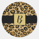 Recherche de spots autocollants Jungle