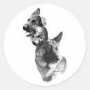 Recherche de german shepherd autocollants Deutscher schaferhund