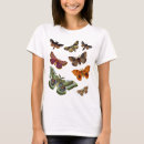 Recherche de mite vêtements Papillon