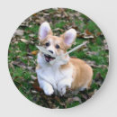 Recherche de corgi horloges Mignon
