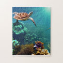 Recherche de tortues puzzles Nautique