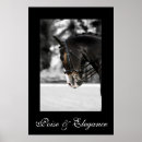 Recherche de cheval de dressage posters Équestre