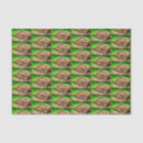 Recherche de capybara Animaux