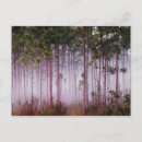 Recherche de pin cartes postales Arbre