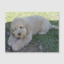 Recherche de chiot drôle magnets Animal