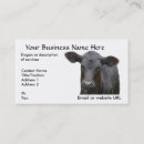 Recherche de vache angus cartes visite Taureau
