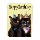 Recherche de casque magnets Chats