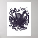 Recherche de mollusque posters Illustration