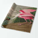 Recherche de john papier cadeau Nature