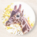 Recherche de girafe de dessous de verres Nature