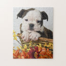 Recherche de broches puzzles Animal
