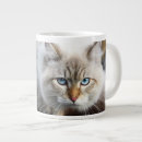 Recherche de chat sibérien tasses Animal