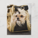 Recherche de sac de cartes postales Animaux domestiques