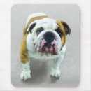 Recherche de bulldog tapis souris Tauromachie