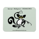 Recherche de lemur magnete Animal