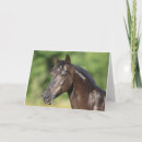 Recherche de mustang espagnol cartes postales Animal
