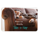 Recherche de petit somme magnets Chien