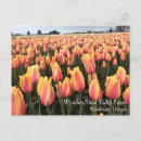 Recherche de tulipe jaune cartes postales Fleurs