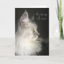 Recherche de sibériennes de chat cartes vœux cartes Pour tous