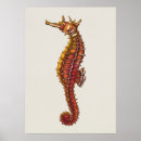Recherche de painting seahorse posters Sauge