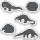 Recherche de pangolin autocollants Faune