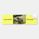 Recherche de le canard voiture autocollants Nature