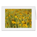 Recherche de coneflowers Été