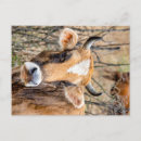 Recherche de arménie cartes postales Caucase