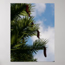 Recherche de pin posters Blanc