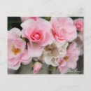 Recherche de rosas cartes postales Pour elle