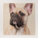 Recherche de chiens de jouets sports Pour animaux