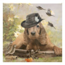 Recherche de cocker anglais posters Espagne