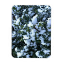 Recherche de neige couverte magnets Nature