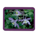 Recherche de rocky mountain national park Colorado