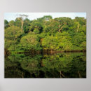 Recherche de amazonien posters Biodiversité