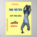 Recherche de écrous posters Arachide