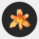 Recherche de fleur de lys autocollants Noir