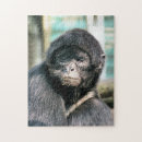Recherche de singe puzzles Sauvage