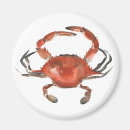 Recherche de crustacé magnets Crabe