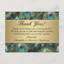 Recherche de plumes paon cartes postales Bleu